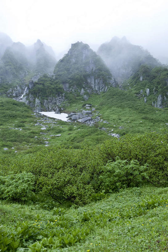 无人,竖图,俯视,室外,白天,旅游,度假,草地,草坪,美景,山,山脉,植物,雾,长野县,日本,亚洲,阴影,朦胧,模糊,光线,影子,景观,山峰,云,云朵,山峦,云彩,娱乐,草,树,树木,蓝色,绿色,白云,蓝天,天空,阳光,自然,群山,天,享受,休闲,景色,放松,生长,成长,迷雾,自然风光,东亚,本州,本州岛,日本国,中部地方,长野,大雾,彩图,高角度拍摄