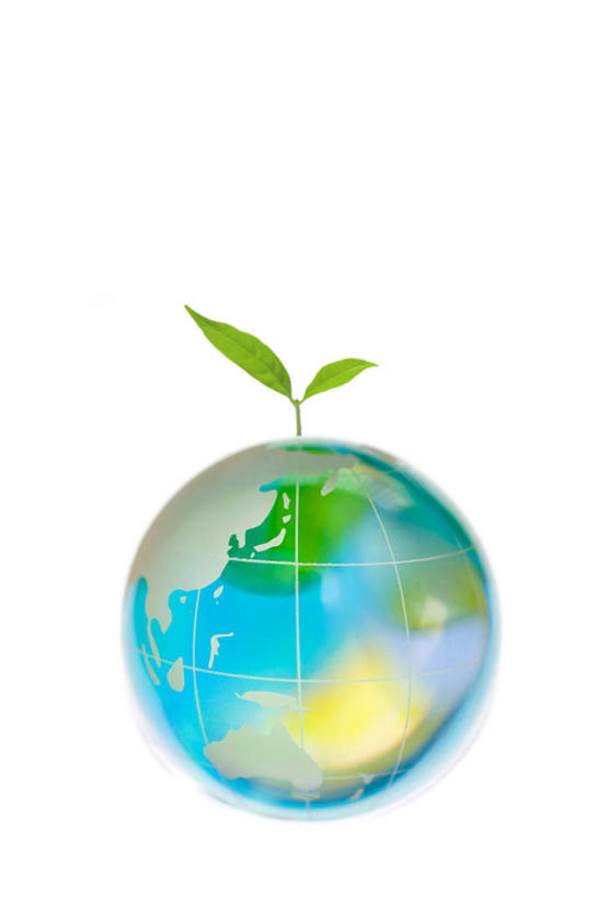 无人,竖图,俯视,室内,特写,白天,白色背景,仪器,海洋,地图,叶子,阴影,光线,网格,地球仪,线条,影子,世界地图,地球,陆地,绿叶,全球,球,一个,阳光,经纬线,模型,球体,嫩叶,摄影,地理,国家,影棚,单个,大陆,世界,纬线,版图,经线,经纬仪,地理学,叶,叶片,彩图,高角度拍摄,影棚拍摄,拍摄,大洋,大洲