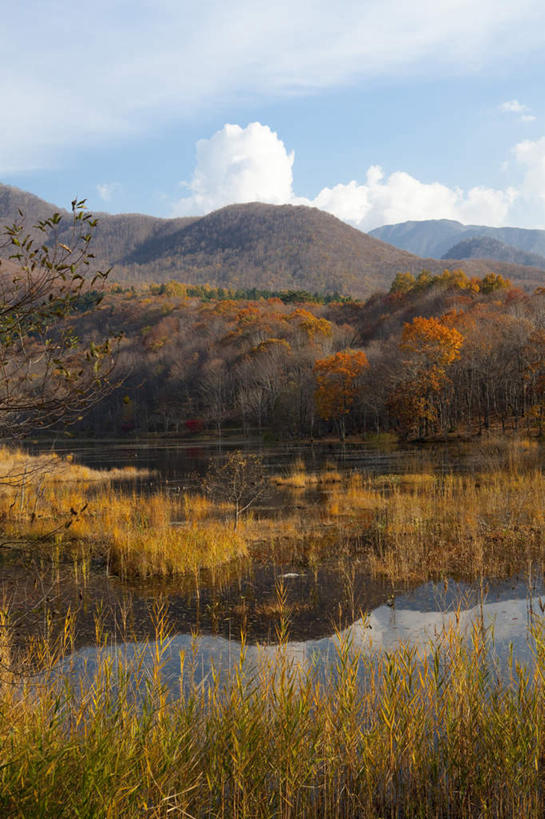无人,竖图,俯视,室外,白天,旅游,度假,草地,草坪,河流,美景,山,山脉,水,植物,日本,亚洲,阴影,光线,影子,河水,景观,山峰,水流,云,云朵,山峦,云彩,娱乐,草,树,树木,蓝色,绿色,白云,蓝天,天空,阳光,自然,群山,天,享受,休闲,景色,放松,生长,成长,自然风光,东亚,本州,本州岛,日本国,东北地方,福岛,福岛县,彩图,高角度拍摄