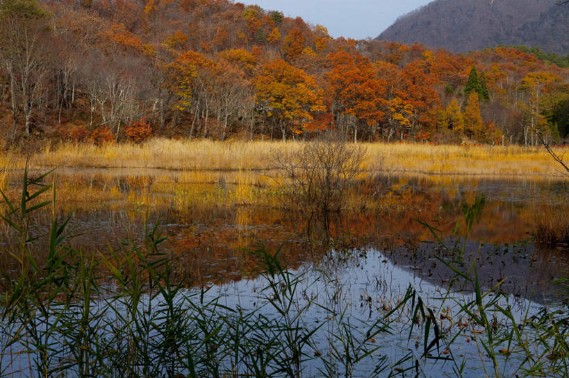 无人,横图,俯视,室外,白天,旅游,度假,草地,草坪,河流,美景,山,山脉,水,植物,日本,亚洲,阴影,光线,影子,河水,景观,山峰,水流,云,云朵,山峦,云彩,娱乐,草,树,树木,蓝色,绿色,白云,蓝天,天空,阳光,自然,群山,天,享受,休闲,景色,放松,生长,成长,自然风光,东亚,本州,本州岛,日本国,东北地方,福岛,福岛县,彩图,高角度拍摄