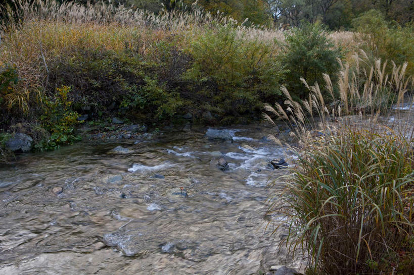 无人,横图,俯视,室外,白天,旅游,度假,草地,草坪,石头,美景,植物,道路,路,日本,亚洲,阴影,光线,石子,影子,景观,小路,交通,娱乐,草,树,树木,绿色,阳光,自然,享受,休闲,景色,放松,乡间小路,生长,成长,自然风光,东亚,日本国,石块,彩图,高角度拍摄