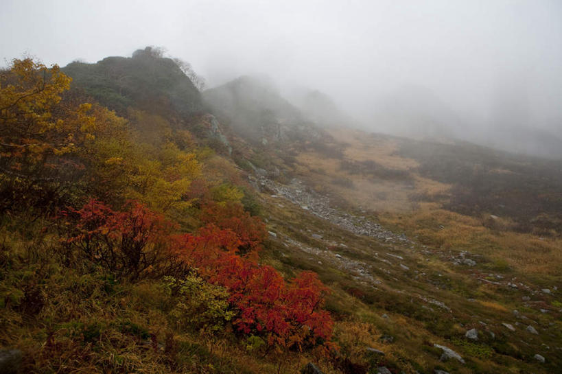 无人,横图,俯视,航拍,室外,白天,旅游,度假,草地,草坪,美景,山,山脉,植物,雾,道路,路,长野县,日本,亚洲,阴影,朦胧,模糊,光线,影子,景观,山峰,小路,交通,山峦,娱乐,草,树,树木,绿色,阳光,自然,群山,享受,休闲,景色,放松,乡间小路,生长,成长,迷雾,鸟瞰,自然风光,东亚,本州,本州岛,日本国,中部地方,长野,大雾,彩图,高角度拍摄