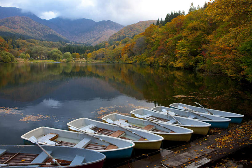 无人,横图,俯视,室外,白天,旅游,度假,草地,草坪,湖,湖泊,美景,水,植物,船,日本,亚洲,一排,许多,阴影,整齐,光线,影子,湖面,景观,水流,水面,云,云朵,木船,云彩,娱乐,草,树,树木,排列,蓝色,绿色,白云,蓝天,天空,阳光,自然,交通工具,湖水,天,享受,休闲,景色,放松,生长,成长,舟,队列,自然风光,载具,东亚,本州,本州岛,日本国,中部地方,新潟,新潟县,彩图,高角度拍摄