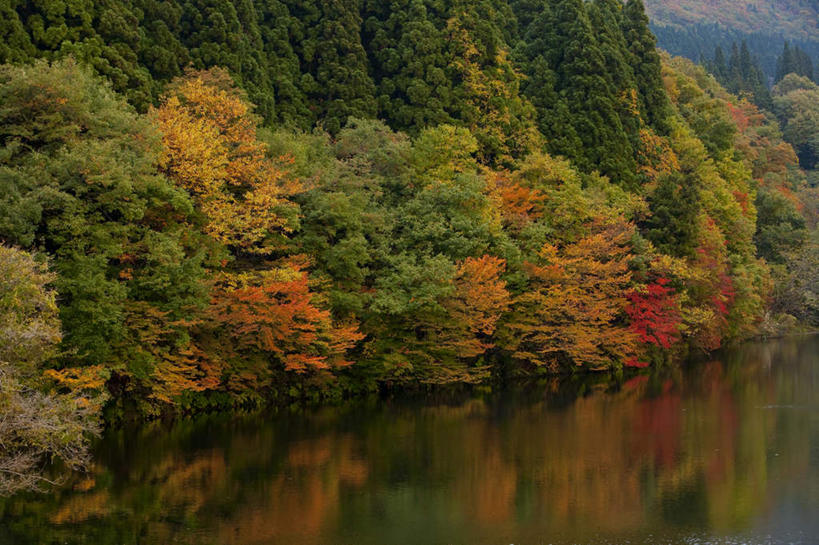 无人,横图,室外,白天,正面,旅游,度假,草地,草坪,湖,湖泊,美景,水,植物,日本,亚洲,阴影,光线,影子,湖面,景观,水流,水面,云,云朵,云彩,娱乐,草,树,树木,蓝色,绿色,白云,蓝天,天空,阳光,自然,湖水,天,享受,休闲,景色,放松,生长,成长,自然风光,东亚,本州,本州岛,日本国,中部地方,新潟,新潟县,彩图