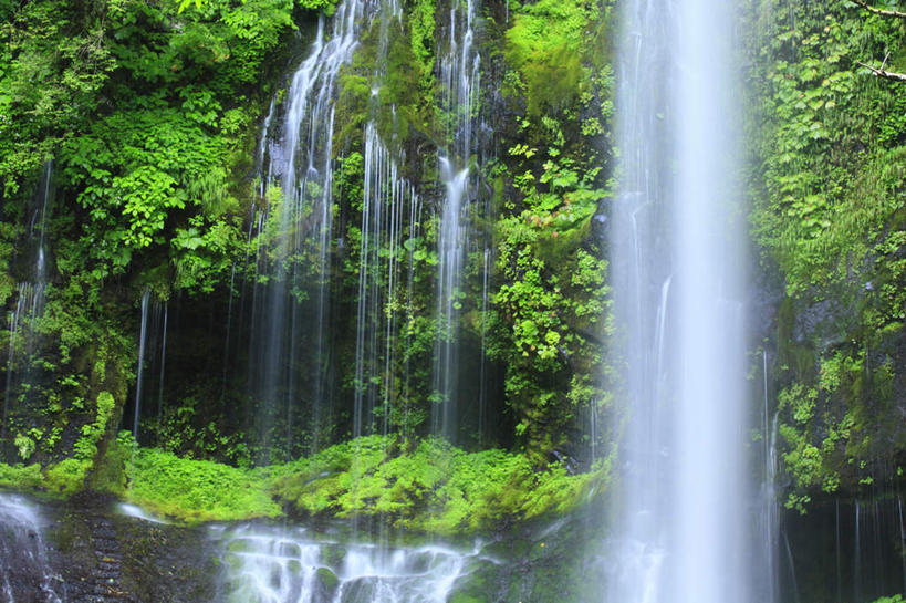 无人,横图,室外,白天,正面,旅游,度假,草地,草坪,美景,瀑布,水,植物,长野县,日本,亚洲,阴影,飞溅,溅,光线,液体,影子,景观,水滴,娱乐,水珠,草,树,树木,绿色,阳光,自然,享受,休闲,景色,放松,生长,成长,喷洒,自然风光,东亚,本州,本州岛,日本国,中部地方,长野,跌水,彩图