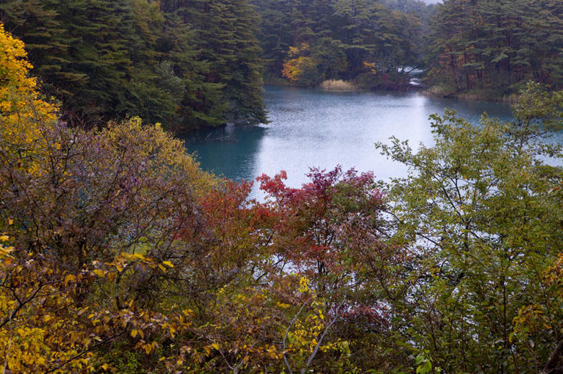 无人,横图,俯视,室外,白天,旅游,度假,草地,草坪,湖,湖泊,美景,森林,树林,水,植物,日本,亚洲,阴影,波纹,光线,影子,湖面,景观,水流,水面,娱乐,草,树,树木,绿色,水纹,阳光,自然,波浪,湖水,享受,休闲,景色,放松,生长,成长,自然风光,东亚,本州,本州岛,日本国,东北地方,福岛,福岛县,彩图,高角度拍摄
