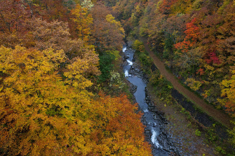 无人,横图,俯视,室外,白天,旅游,度假,草地,草坪,河流,礁石,石头,美景,水,植物,日本,亚洲,阴影,飞溅,溅,光线,石子,液体,影子,河水,景观,水滴,水流,娱乐,水珠,草,树,树木,绿色,小溪,阳光,自然,溪水,享受,休闲,景色,放松,流动,生长,成长,喷洒,自然风光,东亚,本州,本州岛,日本国,东北地方,福岛,福岛县,礁,石块,岩石,彩图,高角度拍摄
