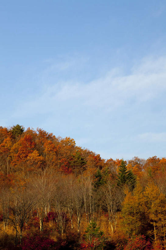 无人,竖图,室外,白天,正面,旅游,度假,草地,草坪,美景,山,山脉,植物,日本,亚洲,阴影,光线,影子,景观,山峰,云,云朵,山峦,云彩,娱乐,草,树,树木,蓝色,绿色,白云,蓝天,天空,阳光,自然,群山,天,享受,休闲,景色,放松,生长,成长,自然风光,东亚,本州,本州岛,日本国,东北地方,福岛,福岛县,彩图