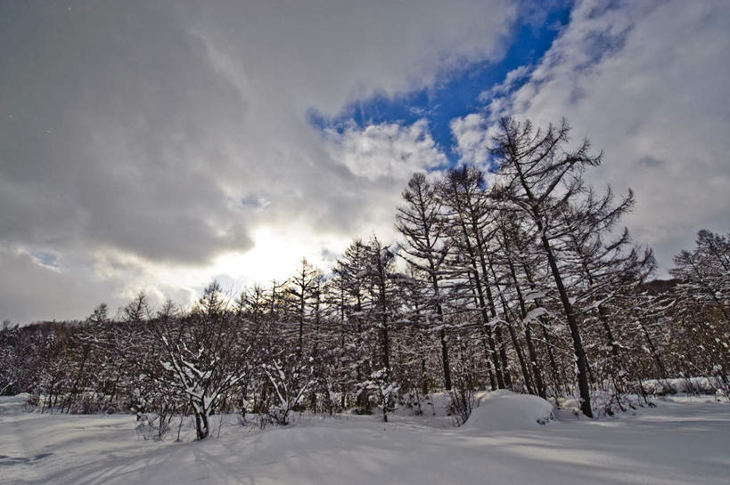 无人,横图,室外,白天,仰视,旅游,度假,草地,草坪,美景,雪,植物,大雪,北海道,日本,亚洲,一堆,阴影,堆叠,堆积,光线,影子,积雪,景观,雪景,云,云朵,冬季,冬天,云彩,娱乐,草,树,树木,蓝色,绿色,白云,蓝天,天空,阳光,自然,天,享受,休闲,景色,放松,寒冷,生长,成长,堆,自然风光,东亚,日本国,北海道地方,北海道岛,严寒,彩图,低角度拍摄
