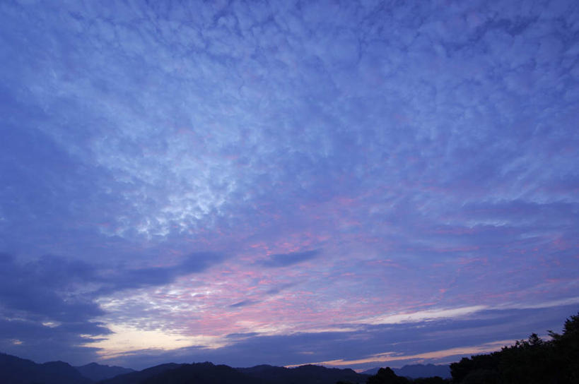 无人,横图,室外,白天,仰视,旅游,度假,草地,草坪,美景,山,山脉,植物,神奈川,日本,亚洲,一堆,阴影,堆叠,堆积,光线,影子,景观,山峰,云,云朵,山峦,神奈川县,云彩,娱乐,草,树,树木,蓝色,绿色,白云,蓝天,天空,阳光,自然,群山,天,享受,休闲,景色,放松,遮,遮掩,生长,成长,堆,掩盖,遮挡,自然风光,东亚,遮盖,本州,关东地方,本州岛,日本国,掩饰,彩图,低角度拍摄