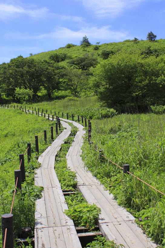 无人,栏杆,竖图,俯视,室外,白天,旅游,度假,草地,草坪,美景,植物,道路,路,长野县,日本,亚洲,阴影,光线,影子,栅栏,景观,篱笆,云,云朵,围栏,小路,交通,云彩,娱乐,护栏,草,树,树木,蓝色,绿色,白云,蓝天,天空,阳光,自然,天,享受,休闲,景色,放松,乡间小路,生长,成长,自然风光,东亚,本州,本州岛,日本国,中部地方,长野,彩图,高角度拍摄