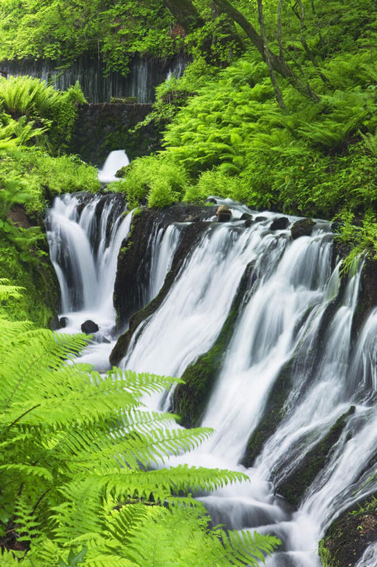 无人,竖图,俯视,室外,白天,旅游,度假,草地,草坪,美景,瀑布,山,山脉,水,植物,长野县,日本,亚洲,阴影,飞溅,溅,光线,液体,影子,景观,山峰,水滴,山峦,娱乐,水珠,草,树,树木,绿色,阳光,自然,群山,享受,休闲,景色,放松,生长,成长,喷洒,自然风光,东亚,本州,本州岛,日本国,中部地方,长野,跌水,彩图,高角度拍摄