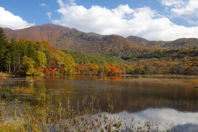 无人,横图,室外,白天,正面,旅游,度假,草地,草坪,河流,美景,山,山脉,水,植物,日本,亚洲,阴影,光线,影子,河水,景观,山峰,水流,云,云朵,山峦,云彩,娱乐,草,树,树木,蓝色,绿色,白云,蓝天,天空,阳光,自然,群山,天,享受,休闲,景色,放松,生长,成长,自然风光,东亚,本州,本州岛,日本国,东北地方,福岛,福岛县,彩图