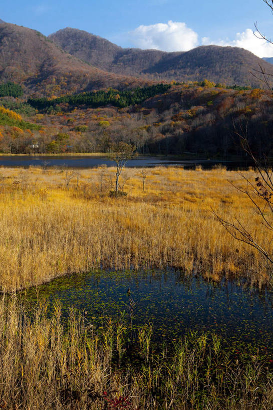 无人,竖图,俯视,室外,白天,旅游,度假,草地,草坪,河流,美景,山,山脉,水,植物,日本,亚洲,阴影,波纹,光线,影子,河水,景观,山峰,水流,云,云朵,山峦,云彩,娱乐,草,树,树木,蓝色,绿色,白云,蓝天,水纹,天空,阳光,自然,波浪,群山,天,享受,休闲,景色,放松,生长,成长,自然风光,东亚,本州,本州岛,日本国,东北地方,福岛,福岛县,彩图,高角度拍摄