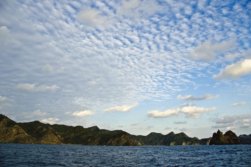 无人,横图,室外,白天,正面,旅游,度假,草地,草坪,海浪,海洋,美景,山,山脉,植物,东京,日本,亚洲,一堆,阴影,波纹,堆叠,堆积,光线,影子,景观,浪花,山峰,云,云朵,山峦,云彩,娱乐,草,树,树木,蓝色,绿色,白云,蓝天,水纹,天空,阳光,自然,海水,波浪,群山,天,享受,休闲,景色,放松,生长,成长,堆,自然风光,海景,东亚,本州,关东地方,本州岛,日本国,东京都,大海,风浪,海,海水的波动,近岸浪,涌浪,彩图