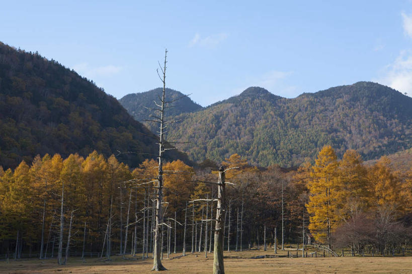无人,横图,室外,白天,正面,旅游,度假,草地,草坪,美景,森林,山,山脉,树林,植物,日本,亚洲,阴影,光线,影子,景观,山峰,云,云朵,山峦,云彩,娱乐,草,树,树木,蓝色,绿色,白云,蓝天,天空,阳光,自然,群山,天,享受,休闲,景色,放松,生长,成长,自然风光,东亚,本州,关东地方,本州岛,日本国,栃木,栃木县,彩图