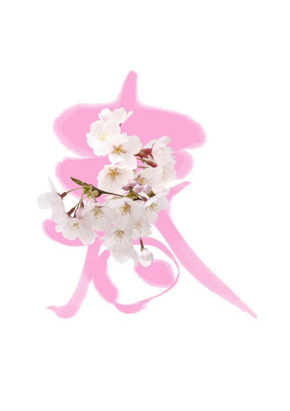 无人,竖图,俯视,室内,白天,白色背景,植物,樱花,许多,日文,标志,文字,字符,花蕾,标识,花瓣,花朵,花卉,鲜花,白色,花苞,摄影,影棚,日语,仙樱花,福岛樱,青肤樱,荆桃,彩图,高角度拍摄,影棚拍摄,拍摄