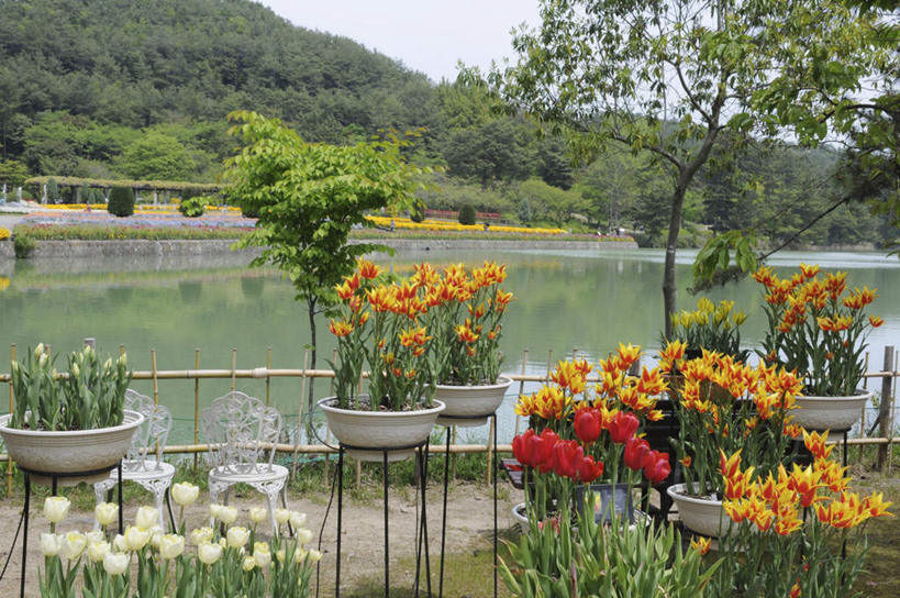 无人,横图,俯视,室外,白天,爱情,旅游,度假,河流,美景,山,树林,水,植物,郁金香,叶子,椅子,花盆,日本,亚洲,许多,盛开,河水,景观,山峰,水流,绿叶,山峦,祝福,娱乐,花,花瓣,花朵,花卉,鲜花,树,树木,蓝色,绿色,蓝天,天空,自然,天,花蕊,享受,休闲,嫩叶,景色,放松,生长,晴朗,成长,表白,自然风光,荣誉,东亚,本州,万里无云,本州岛,日本国,中国地方,永恒,冈山,冈山县,叶,叶片,晴空,晴空万里,郁香,洋荷花,草麝香,彩图,高角度拍摄