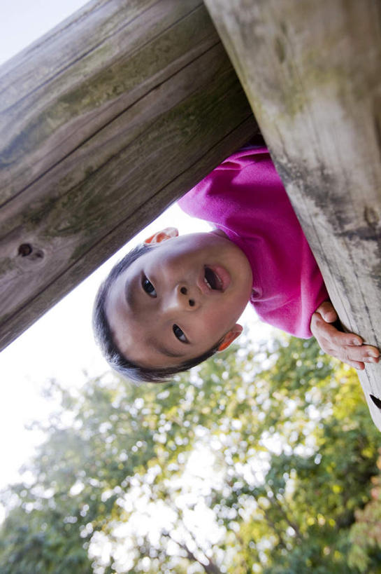 东方人,儿童,一个人,站,竖图,室外,白天,仰视,纯洁,亚洲,仅一个男性,仅一个人,许多,盛开,柱子,花蕾,注视,黄种人,花,花瓣,花朵,鲜花,小孩,黄色,蓝色,蓝天,天空,天,花苞,花蕊,观察,看,趴着,站着,仅一个小孩,可爱,童年,童趣,晴朗,观看,察看,关注,童真,烂漫,无邪,万里无云,天真,男孩,男人,男性,亚洲人,孩子,晴空,晴空万里,趴,站立,半身,彩图,低角度拍摄,男生