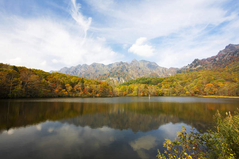 无人,横图,室外,白天,仰视,旅游,度假,河流,美景,树林,水,植物,长野县,日本,亚洲,许多,阴影,反射,影子,河水,景观,水流,云,云朵,云彩,娱乐,树,树木,蓝色,绿色,白云,蓝天,天空,自然,天,享受,休闲,景色,放松,生长,晴朗,成长,自然风光,东亚,本州,本州岛,日本国,中部地方,长野,晴空,彩图,低角度拍摄