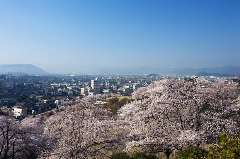无人,公园,家,横图,俯视,航拍,室外,白天,旅游,度假,美景,树林,植物,樱花,日本,亚洲,许多,房屋,屋子,景观,樱花树,娱乐,楼房,住宅,树,树木,蓝色,绿色,蓝天,天空,自然,天,享受,休闲,景色,放松,生长,晴朗,成长,鸟瞰,自然风光,东亚,本州,万里无云,本州岛,日本国,中部地方,福井,福井县,仙樱花,福岛樱,青肤樱,晴空,晴空万里,荆桃,彩图,高角度拍摄,房子