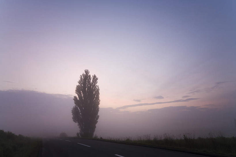 无人,横图,室外,白天,仰视,旅游,度假,美景,树林,植物,道路,路,路灯,公路,照明,北海道,日本,亚洲,许多,景观,灯光,交通,娱乐,灯,树,树木,蓝色,绿色,蓝天,天空,自然,天,享受,休闲,景色,放松,生长,晴朗,成长,照亮,照明设备,自然风光,东亚,万里无云,日本国,北海道地方,北海道岛,晴空,晴空万里,马路,彩图,低角度拍摄