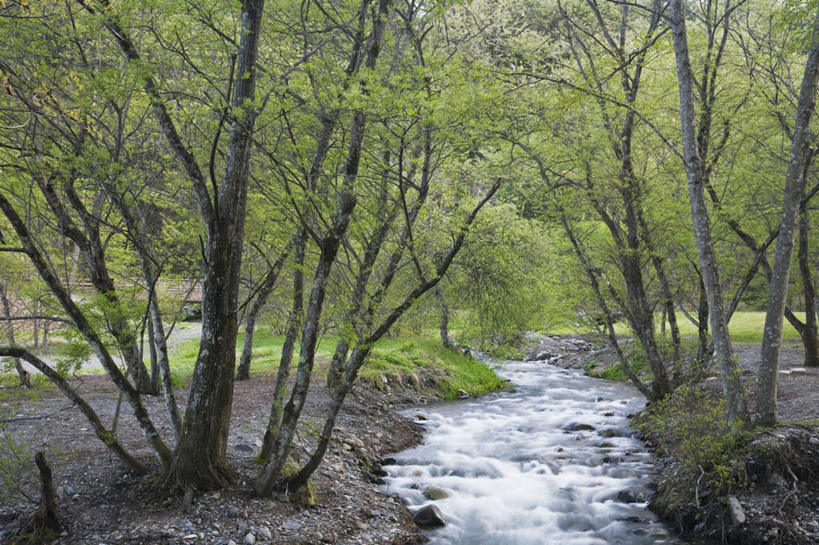 无人,横图,俯视,室外,白天,旅游,度假,河流,美景,树林,水,植物,长野县,日本,亚洲,许多,阴影,光线,影子,河水,景观,水流,娱乐,树,树木,蓝色,绿色,蓝天,天空,小溪,阳光,自然,天,溪水,享受,休闲,景色,放松,生长,晴朗,成长,自然风光,东亚,本州,万里无云,本州岛,日本国,中部地方,长野,晴空,晴空万里,彩图,高角度拍摄