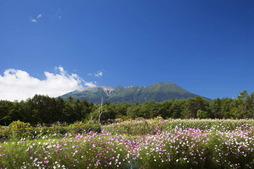 无人,栏杆,横图,室外,白天,仰视,旅游,度假,草地,草坪,花海,花圃,美景,山,树林,植物,叶子,长野县,日本,亚洲,许多,盛开,栅栏,景观,篱笆,山峰,云,云朵,围栏,绿叶,山峦,花蕾,云彩,娱乐,护栏,草,花,花瓣,花朵,花卉,鲜花,树,树木,蓝色,绿色,白云,蓝天,天空,自然,花丛,花田,天,花苞,花蕊,享受,休闲,嫩叶,景色,放松,生长,晴朗,成长,自然风光,东亚,紫云英,红花草,本州,本州岛,日本国,中部地方,长野,翘摇,叶,叶片,晴空,彩图,低角度拍摄