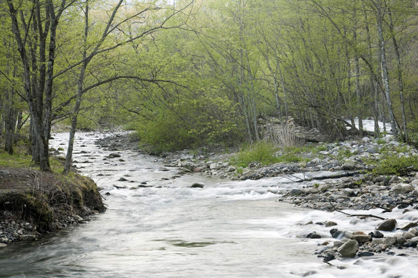 无人,横图,室外,白天,仰视,旅游,度假,河流,石头,美景,树林,水,植物,长野县,日本,亚洲,许多,飞溅,溅,石子,液体,河水,景观,水滴,水流,娱乐,水珠,树,树木,绿色,小溪,自然,溪水,享受,休闲,景色,放松,生长,成长,喷洒,自然风光,东亚,本州,本州岛,日本国,中部地方,长野,石块,岩石,彩图,低角度拍摄