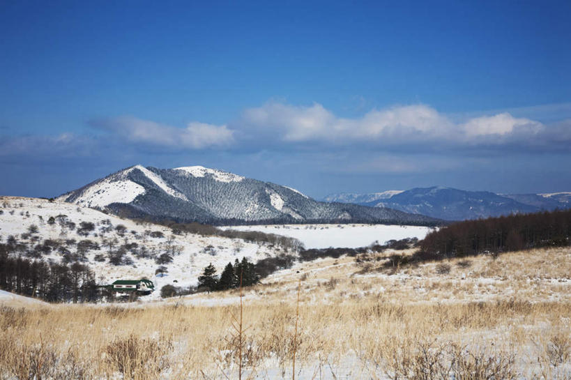 无人,横图,俯视,航拍,室外,白天,旅游,度假,美景,山,树林,雪,植物,大雪,富山县,日本,亚洲,许多,枯萎,积雪,景观,山峰,雪景,云,云朵,冬季,冬天,枯草,山峦,云彩,娱乐,草,树,树木,黄色,蓝色,绿色,白云,蓝天,天空,自然,天,享受,休闲,景色,放松,寒冷,生长,晴朗,成长,鸟瞰,自然风光,东亚,本州,本州岛,日本国,中部地方,严寒,富山,晴空,彩图,高角度拍摄