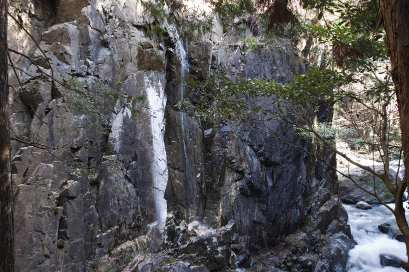 无人,横图,俯视,室外,白天,旅游,度假,河流,石头,美景,瀑布,树林,水,植物,长野县,日本,亚洲,许多,飞溅,溅,石子,液体,河水,景观,水滴,水流,娱乐,水珠,树,树木,绿色,小溪,自然,溪水,享受,休闲,景色,放松,生长,成长,喷洒,自然风光,东亚,本州,本州岛,日本国,中部地方,长野,跌水,石块,岩石,彩图,高角度拍摄