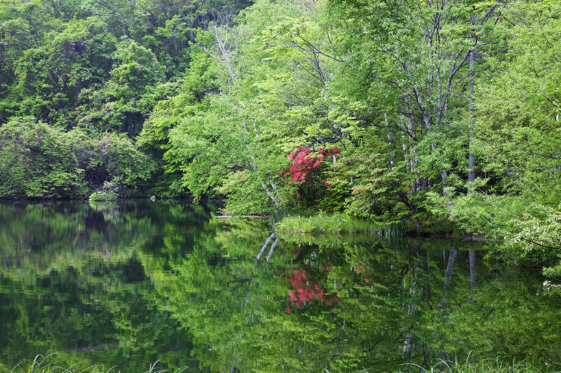 无人,横图,俯视,室外,白天,旅游,度假,河流,美景,秋季,树林,水,植物,长野县,日本,亚洲,许多,阴影,反射,影子,河水,景观,水流,娱乐,树,树木,绿色,自然,享受,休闲,景色,放松,生长,成长,自然风光,东亚,本州,本州岛,日本国,中部地方,长野,秋,秋天,彩图,高角度拍摄