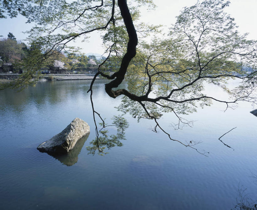 无人,家,横图,俯视,室外,白天,旅游,度假,河流,石头,美景,树林,水,植物,许多,阴影,光线,石子,影子,房屋,屋子,草屋,河水,景观,水流,娱乐,住宅,树,树木,蓝色,绿色,蓝天,天空,阳光,自然,茅草屋,天,享受,休闲,景色,放松,生长,晴朗,成长,自然风光,万里无云,石块,晴空,晴空万里,彩图,高角度拍摄,房子,茅舍,茅屋,小屋