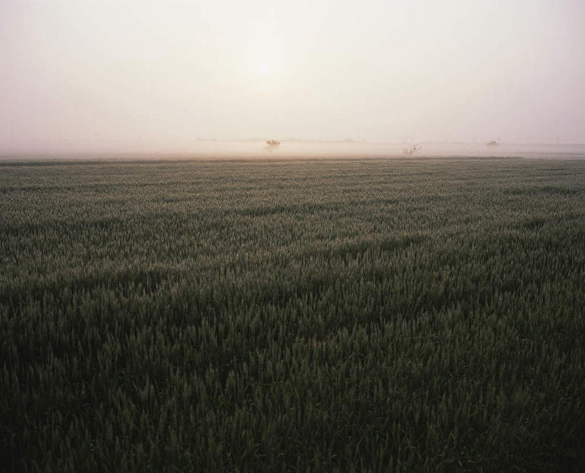 无人,农田,横图,室外,白天,正面,旅游,度假,农业,庄稼,农作物,美景,日落,日本,亚洲,稻田,景观,晚霞,霞光,落日,麦田,娱乐,自然,黄昏,享受,休闲,景色,彩霞,放松,一望无际,自然风光,东亚,本州,本州岛,日本国,近畿地方,近畿,滋贺,滋贺县,无边无际,一马平川,夕照,夕阳,彩图,耕地,庄稼田,斜阳