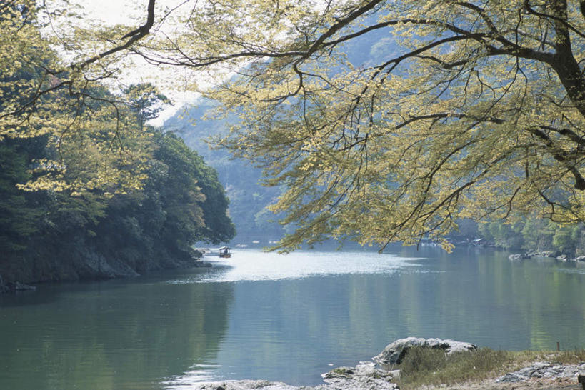 无人,横图,室外,白天,仰视,旅游,度假,河流,美景,山,山脉,树林,水,植物,船,京都,日本,亚洲,许多,阴影,光线,影子,河水,景观,山峰,水流,木船,山峦,娱乐,树,树木,蓝色,绿色,蓝天,天空,阳光,自然,交通工具,群山,天,享受,休闲,景色,放松,京都府,生长,晴朗,成长,舟,自然风光,载具,东亚,本州,万里无云,本州岛,日本国,近畿地方,近畿,晴空,晴空万里,彩图,低角度拍摄