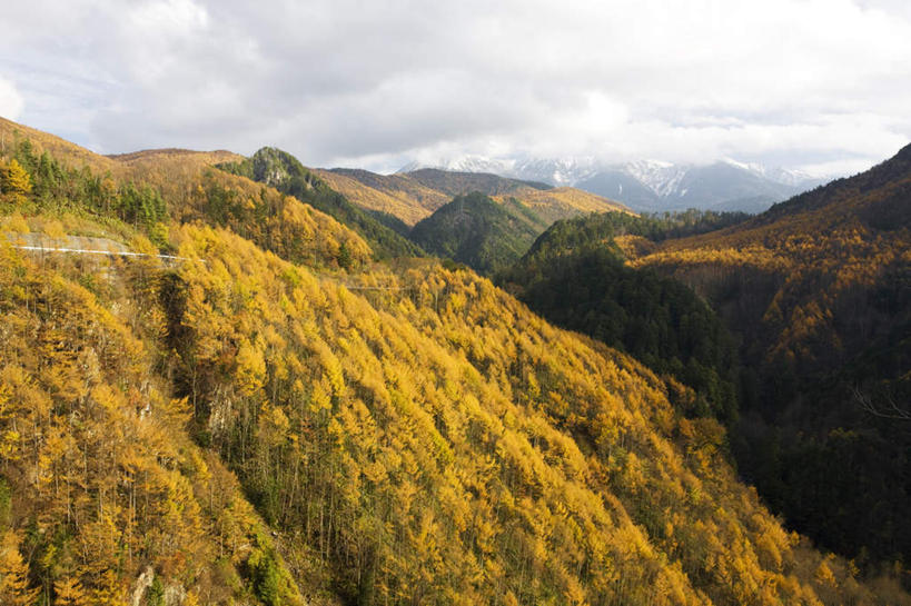 无人,横图,俯视,航拍,室外,白天,旅游,度假,美景,秋季,山,山脉,树林,雪,植物,大雪,日本,亚洲,许多,朦胧,模糊,积雪,景观,山峰,雪景,云,云朵,冬季,冬天,山峦,云彩,娱乐,树,树木,蓝色,绿色,白云,蓝天,天空,自然,群山,天,享受,休闲,景色,放松,寒冷,生长,晴朗,成长,鸟瞰,自然风光,东亚,本州,本州岛,日本国,中部地方,岐阜,岐阜县,严寒,晴空,秋,秋天,彩图,高角度拍摄