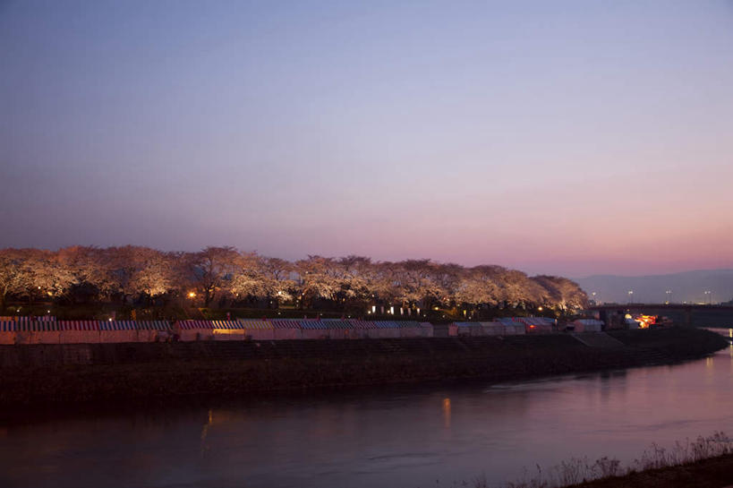 无人,横图,室外,夜晚,仰视,旅游,度假,花海,花圃,河流,美景,日落,树林,水,植物,樱花,叶子,日本,亚洲,许多,朦胧,模糊,盛开,帐篷,河水,景观,水流,晚霞,霞光,落日,绿叶,樱花树,花蕾,娱乐,花,花瓣,花朵,花卉,鲜花,树,树木,蓝色,绿色,自然,黄昏,花丛,花田,花苞,花蕊,享受,休闲,嫩叶,景色,彩霞,放松,生长,成长,自然风光,露营,野营,东亚,本州,宿营,本州岛,日本国,中部地方,福井,福井县,仙樱花,福岛樱,青肤樱,夕照,叶,叶片,夕阳,荆桃,彩图,低角度拍摄,斜阳