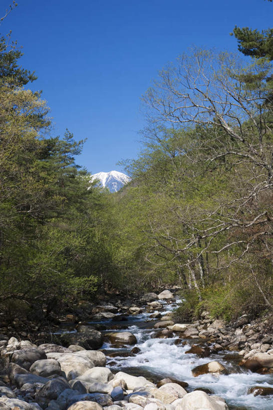 无人,竖图,室外,白天,仰视,旅游,度假,河流,石头,美景,山,山脉,树林,水,雪,植物,大雪,长野县,日本,亚洲,许多,石子,河水,积雪,景观,山峰,水流,雪景,冬季,冬天,山峦,娱乐,树,树木,蓝色,绿色,蓝天,天空,小溪,自然,群山,天,溪水,享受,休闲,景色,放松,寒冷,生长,晴朗,成长,自然风光,东亚,本州,万里无云,本州岛,日本国,中部地方,长野,严寒,石块,岩石,晴空,晴空万里,彩图,低角度拍摄