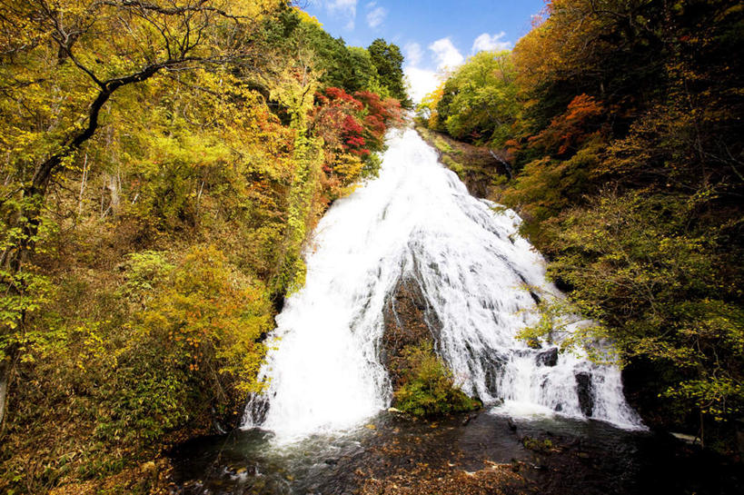 无人,横图,室外,白天,仰视,旅游,度假,河流,石头,美景,瀑布,秋季,树林,水,植物,日本,亚洲,许多,飞溅,溅,石子,液体,河水,景观,水滴,水流,娱乐,水珠,树,树木,绿色,小溪,自然,溪水,享受,休闲,景色,放松,生长,成长,喷洒,自然风光,东亚,本州,关东地方,本州岛,日本国,栃木,栃木县,跌水,石块,岩石,秋,秋天,彩图,低角度拍摄