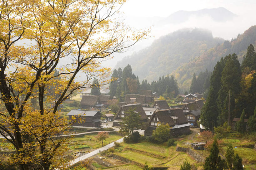 无人,家,农田,横图,俯视,室外,白天,旅游,度假,庄稼,农作物,美景,秋季,山,山脉,树林,植物,雾,富山县,日本,亚洲,许多,朦胧,模糊,房屋,屋子,景观,山峰,山峦,娱乐,楼房,住宅,树,树木,蓝色,绿色,蓝天,天空,自然,群山,天,享受,休闲,景色,放松,生长,晴朗,成长,迷雾,自然风光,东亚,本州,万里无云,本州岛,日本国,中部地方,富山,大雾,晴空,晴空万里,秋,秋天,彩图,高角度拍摄,耕地,庄稼田,房子
