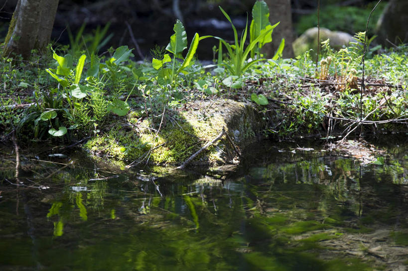 无人,横图,俯视,室外,白天,旅游,度假,草地,河流,美景,水,植物,长野县,日本,亚洲,阴影,光线,影子,河岸,河水,景观,泥土,水流,娱乐,草,绿色,倒影,阳光,自然,享受,休闲,景色,放松,自然风光,东亚,本州,本州岛,日本国,中部地方,长野,彩图,高角度拍摄