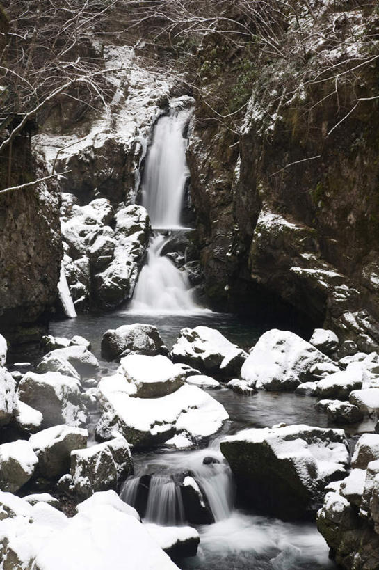 无人,竖图,室外,白天,正面,旅游,度假,河流,石头,美景,瀑布,树林,水,雪,植物,大雪,日本,亚洲,许多,飞溅,溅,石子,液体,河水,积雪,景观,水滴,水流,雪景,冬季,冬天,娱乐,水珠,树,树木,绿色,小溪,自然,溪水,享受,休闲,景色,放松,寒冷,生长,成长,喷洒,自然风光,东亚,本州,本州岛,日本国,中部地方,岐阜,岐阜县,严寒,跌水,石块,岩石,彩图