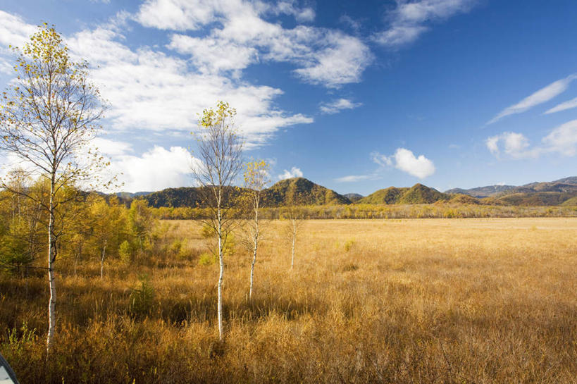 无人,横图,室外,白天,正面,旅游,度假,草地,美景,山,山脉,树林,植物,日本,亚洲,许多,阴影,光线,影子,景观,山峰,云,云朵,山峦,云彩,娱乐,草,树,树木,蓝色,绿色,白云,蓝天,天空,阳光,自然,群山,天,享受,休闲,景色,放松,生长,晴朗,成长,沼泽,自然风光,东亚,本州,关东地方,本州岛,日本国,栃木,栃木县,晴空,彩图