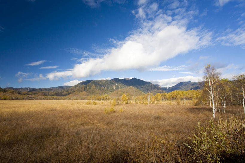 无人,横图,室外,白天,仰视,旅游,度假,美景,秋季,山,山脉,树林,植物,日本,亚洲,许多,景观,山峰,云,云朵,山峦,云彩,娱乐,树,树木,蓝色,绿色,白云,蓝天,天空,自然,群山,天,享受,休闲,景色,放松,生长,晴朗,成长,自然风光,东亚,本州,关东地方,本州岛,日本国,栃木,栃木县,晴空,秋,秋天,彩图,低角度拍摄
