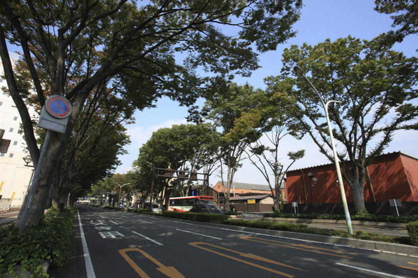 无人,家,横图,室外,白天,仰视,度假,美景,树林,植物,城市风光,城市,道路,路,路灯,指示牌,公路,照明,日本,亚洲,许多,阴影,光线,标志,文字,影子,房屋,屋子,景观,灯光,交通,娱乐,标识,楼房,住宅,灯,树,树木,蓝色,绿色,蓝天,天空,阳光,天,享受,休闲,景色,放松,生长,晴朗,成长,照亮,照明设备,东亚,本州,万里无云,关东地方,本州岛,日本国,群马,群马县,晴空,晴空万里,马路,彩图,低角度拍摄,房子