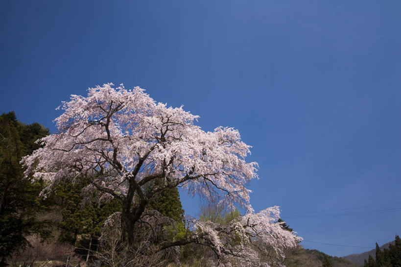 无人,横图,室外,白天,仰视,旅游,度假,美景,山,山脉,树林,植物,长野县,日本,亚洲,许多,电力,电线,线,景观,山峰,电能,山峦,线路,娱乐,树,树木,蓝色,绿色,蓝天,天空,自然,群山,天,享受,休闲,景色,放松,生长,晴朗,成长,电,电源,电源线,自然风光,能量,东亚,本州,万里无云,本州岛,日本国,中部地方,长野,晴空,晴空万里,彩图,低角度拍摄