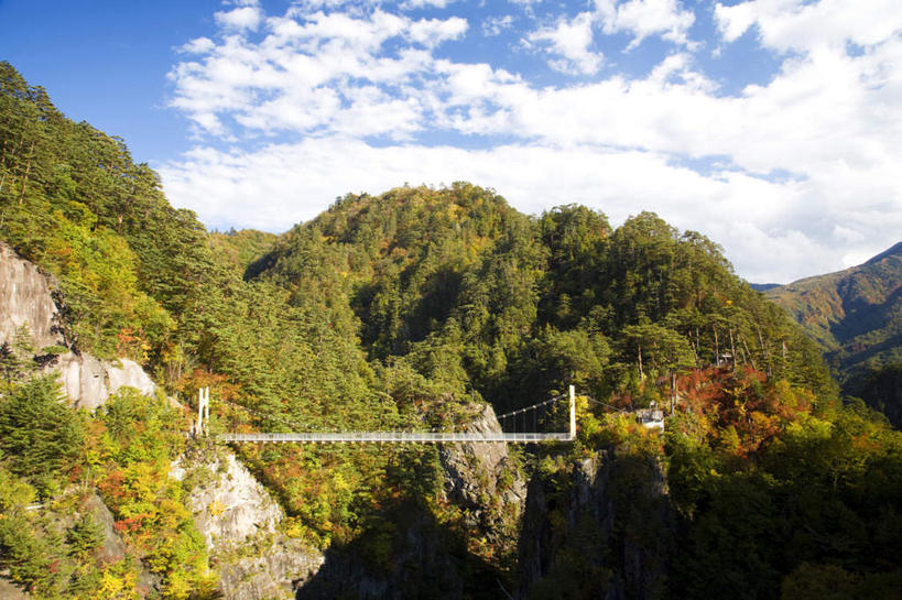 无人,横图,室外,白天,仰视,旅游,度假,美景,山,山脉,树林,植物,大桥,立交桥,桥梁,日本,亚洲,许多,阴影,光线,影子,景观,山峰,云,云朵,高架,斜拉桥,桥,山峦,云彩,娱乐,树,树木,蓝色,绿色,白云,蓝天,天空,阳光,自然,群山,天,享受,休闲,景色,放松,生长,晴朗,成长,自然风光,东亚,本州,关东地方,本州岛,日本国,栃木,栃木县,晴空,彩图,低角度拍摄
