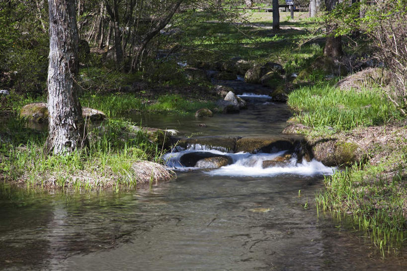 无人,横图,室外,白天,正面,旅游,度假,河流,石头,美景,树林,水,植物,长野县,日本,亚洲,许多,阴影,朦胧,模糊,光线,石子,影子,河水,景观,水流,娱乐,树,树木,绿色,小溪,阳光,自然,溪水,享受,休闲,景色,放松,生长,成长,自然风光,东亚,本州,本州岛,日本国,中部地方,长野,石块,岩石,彩图