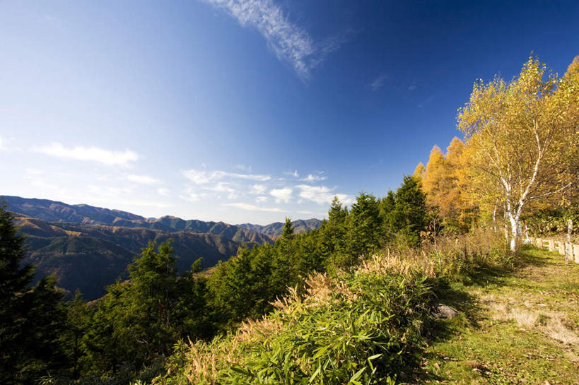 无人,横图,室外,白天,正面,旅游,度假,美景,秋季,山,山脉,树林,植物,日本,亚洲,许多,阴影,光线,影子,景观,山峰,云,云朵,山峦,云彩,娱乐,树,树木,蓝色,绿色,白云,蓝天,天空,阳光,自然,群山,天,享受,休闲,景色,放松,生长,晴朗,成长,自然风光,东亚,本州,本州岛,日本国,中部地方,岐阜,岐阜县,晴空,秋,秋天,彩图