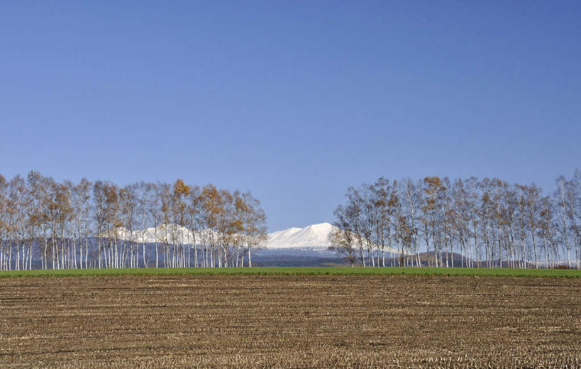 无人,横图,室外,白天,正面,旅游,度假,美景,山,山脉,树林,雪,植物,大雪,北海道,日本,亚洲,一排,整齐,积雪,景观,山峰,田地,雪景,山峦,娱乐,树,树木,排列,蓝色,绿色,蓝天,天空,自然,群山,天,享受,休闲,景色,放松,生长,晴朗,成长,队列,自然风光,东亚,万里无云,日本国,北海道地方,北海道岛,晴空,晴空万里,彩图